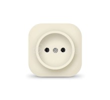Розетка 1-м ОП 10А IP20 без заземл. сл. кость IONICH 1431
