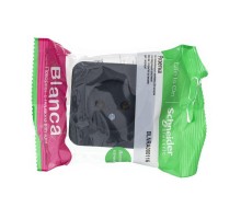 Розетка 1-м ОП BLANCA 16А 250В без шторок без заземл. изол. пласт. антрацит SchE BLNRA000116
