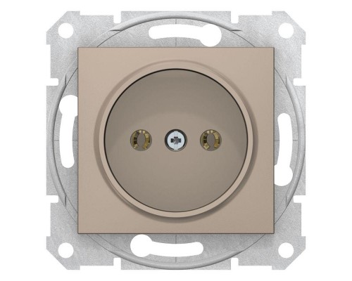 Розетка 1-м СП Sedna 16А IP20 без заземл. без защ. шторок титан SchE SDN2900168