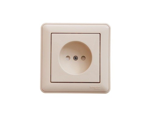 Розетка 1-м СП W59 16А IP20 защ. шторки без заземл. сл. кость SchE RS16-151-28
