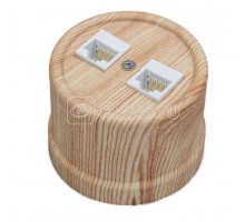 Розетка 2-м комп. RJ45 CAT.5е ОП ЛИЗЕТТА ABS-пластик карельская сосна BIRONI B1-302-13