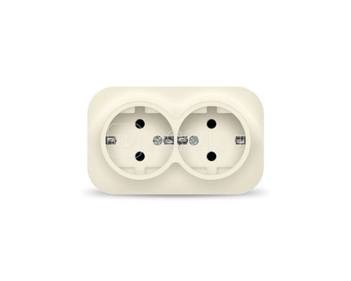 Розетка 2-м ОП 16А IP20 с заземл. сл. кость IONICH 1428