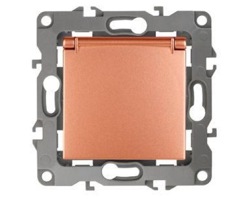 Розетка Schuko 16АХ-250В 2P+E с защ. крышкой защ. шторки 12-2103-14 медь ЭРА Б0019329