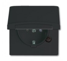 Розетка Schuko Allwetter44 16А 250В 20 EUGKB-35-101 с защ. крышкой защ. шторки (уплот. кольцо в комплекте) IP44 черн./антрацит ABB 2CKA002064A0295