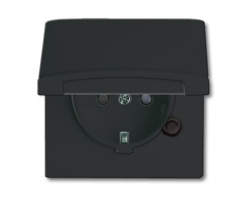 Розетка Schuko Allwetter44 16А 250В 20 EUGKB-35-101 с защ. крышкой защ. шторки (уплот. кольцо в комплекте) IP44 черн./антрацит ABB 2CKA002064A0295