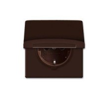 Розетка Schuko Allwetter44 16А 250В 20 EUGK-31-101 с защ. крышкой (уплот. кольцо в комплекте) IP44 корич. ABB 2CKA002064A0286