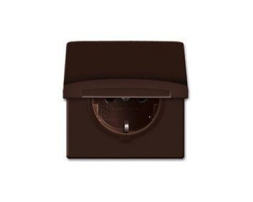 Розетка Schuko Allwetter44 16А 250В 20 EUGK-31-101 с защ. крышкой (уплот. кольцо в комплекте) IP44 корич. ABB 2CKA002064A0286