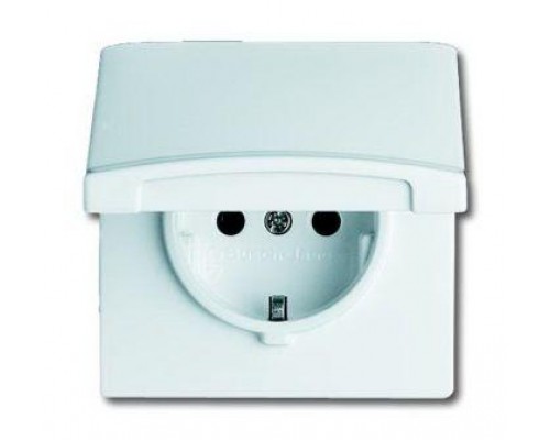 Розетка Schuko Allwetter44 16А 250В 20 EUGK-34-101-500 с защ. крышкой (уплот. кольцо в комплекте) IP44 альп. бел. ABB 2CKA002064A0310