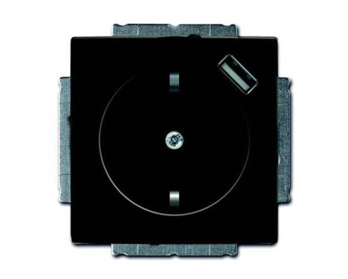 Розетка Schuko Basic 55 16А 700мА с заряд. устройством USB 20 EUCBUSB-95-500 chateau-черн. защ. шторки ABB 2CKA002011A6195