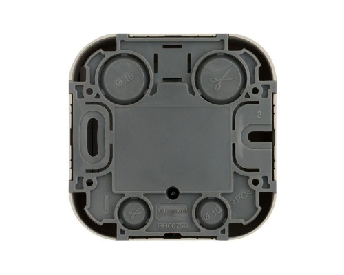 Розетка TV 1-м ОП звезда Quteo сл. кость Leg 782245