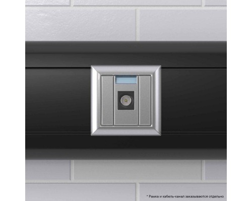 Розетка TV 1мод. Avanti Закаленная сталь оконечная DKC 4404501