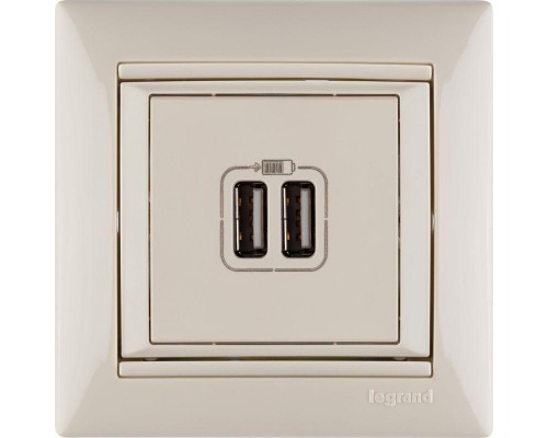 Розетка USB 2-м СП Valena сл. кость Leg 774170