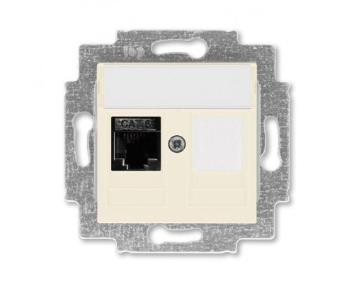 Розетка информационная Levit RJ45 кат. 6 и заглушка сл. кость ABB 2CHH296117A6017