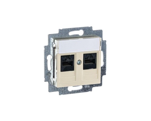 Розетка информационная Levit двойная 2хRJ45 кат. 5e сл. кость ABB 2CHH295118A6017