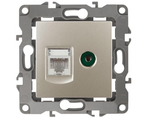 Розетка информационная RJ45+TV 12-3110-04 шампань ЭРА Б0027444