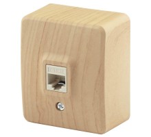 Розетка информационная RJ45 ОП 11-3203-11 Эксперт сосна ЭРА Б0020732
