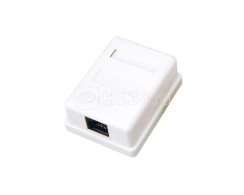 Розетка компьютерная 1-м ОП RJ45 CAT 5E бел. REXANT 03-0121
