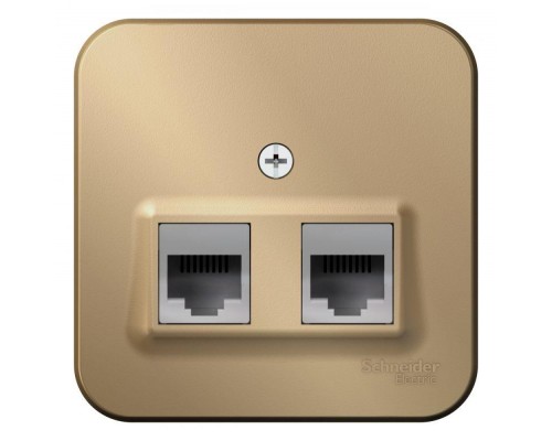 Розетка компьютерная + телеф. 2-м ОП BLANCA RJ45 кат.5е + RJ11 изол. пласт. титан SchE BLNIA045114