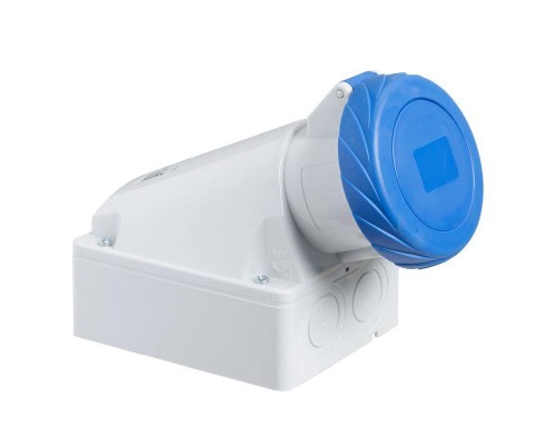 Розетка настенная 32А 220В 2P+E винт. клеммы IP67 SchE 83166