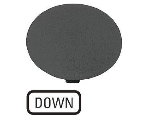 Шильдик кнопочный грибовидный ВНИЗ M22-XDP-S-GB4 черн. EATON 218287