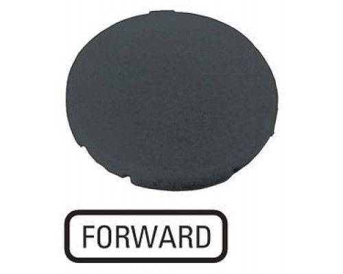 Шильдик кнопочный плоский FORWARD M22-XD-S-GB15 черн. EATON 218205