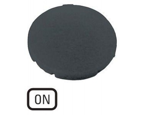 Шильдик кнопочный плоский ONM22-XD-S-GB6 черн. EATON 218203