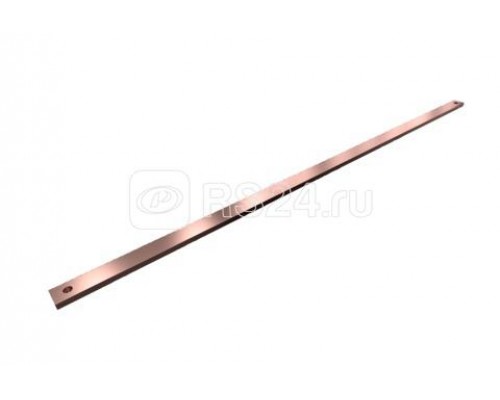 Шина SV PE/PEN 30х10мм L=1100мм (уп.2шт) Rittal 9686532