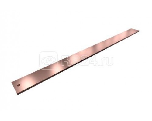 Шина SV PE/PEN 80х10мм L=1100мм (уп.2шт) Rittal 9686582