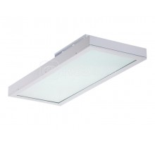 Светильник LB/S C ECO LED 75 5000К IP65 СТ 1334001570