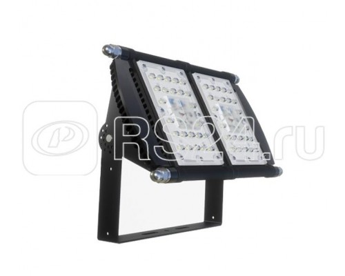 Светильник LED ДСП 29-100-023 D4 100Вт 5000К КСС_К/Г IP67 Carbon ALB F2835