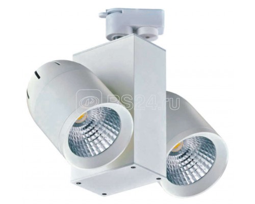 Светильник TSF30-21-C-01 Новый Свет 400108