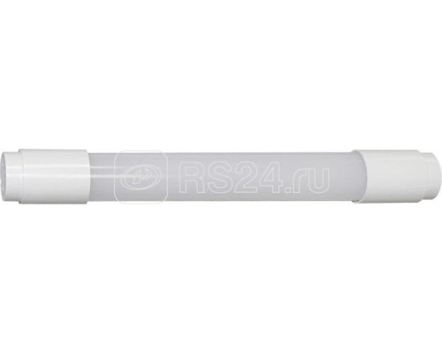 Светильник аварийный SKAT LED-12VDC-2Вт-30А 230 (30 диодов 12В IP50) Бастион 2485