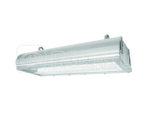 Светильник ДСП01-60-001 Light Pro 60Вт IP65 Ксенон 0100060223-31