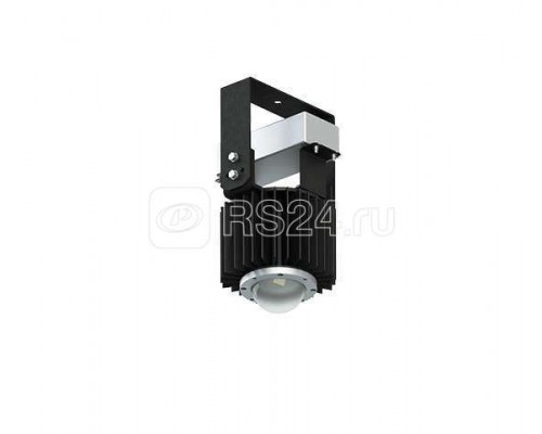 Светильник ДСП04-40-101 Fito Star LED 40Вт IP65 Ардатов 1208004101