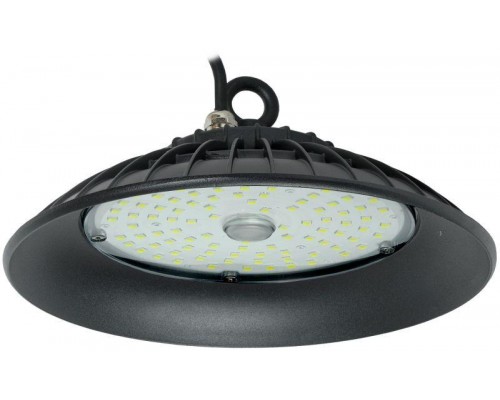 Светильник ДСП 3006 PRO 100Вт 120гр 6500К IP65 алюм. ИЭК LDSP0-3006-100-120-K23