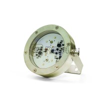 Светильник Дубна D130/P6-RGBF-12 IP68 Световод ДБ.018.01