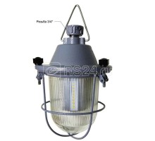 Светильник НСП 11-100-425/IP62-01-LED-110/220В AC/DC 5000К Световод НП.002.01