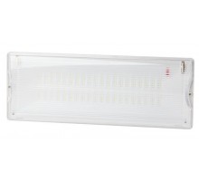 Светильник светодиодный DPA-301-0-65 ЭРА аварийный непостоянный 40LED 3ч IP65 NiCD (10/240) Эра Б0044405