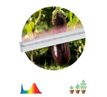 Светильник светодиодный LLED-05-T5-FITO-9W-W линейный ФИТО ЭРА Б0028199