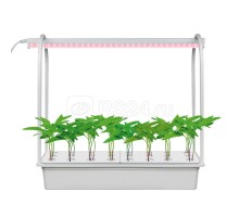 Светильник светодиодный для растений ULT-P44D-10W/SPLE AQUA SIMPLE WHITE IP20 с подставкой Минисад AQUA SIMPLE спектр для фотосинтеза Uniel UL-00004499