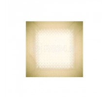 Светильник светодиодный СПВО-32 Д 3000К IP40  накладное крепление призматическое (Россия) ФОКУС SPVO0-032D0CCB33F06000