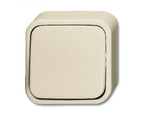 Выключатель 1-кл. 2п ОП Busch-Duro 2000 AP 10А IP20 сл. кость ABB 2CKA001042A0654