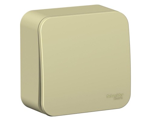 Выключатель 1-кл. ОП BLANCA (сх.1) 10А с самовозвр. изол. пласт. беж. SchE BLNCA101017