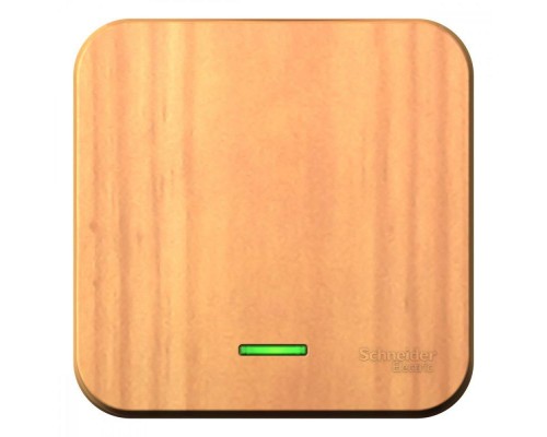 Выключатель 1-кл. ОП Blanca 10А IP20 (сх. 1) 250В с подсветкой ясень SchE BLNVA101105