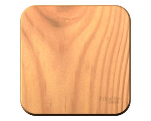 Выключатель 1-кл. ОП Blanca 10А IP20 (сх. 1) с самовозвратом с изолир. пластиной ясень SchE BLNCA101015