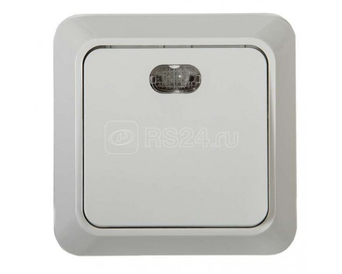 Выключатель 1-кл. ОП Bolleto 10А IP20 7121 с накл. подсветкой бел. ASD / IN HOME 4680005959754