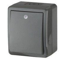Выключатель 1-кл. ОП Эра Эксперт 10А IP54 11-1402-03 250В 10AX с подсветкой сер. Эра Б0020672