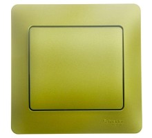 Выключатель 1-кл. СП Glossa 10А IP20 (сх. 1) 10AX в сборе фисташк. SchE GSL001012