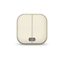 Выключатель 2-кл. 1п ОП 10А IP20 с подсветкой сл. кость IONICH 1426