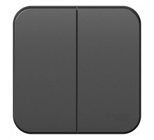 Выключатель 2-кл. ОП Blanca 10А IP20 (сх. 5) 250В антрацит SchE BLNVA105006